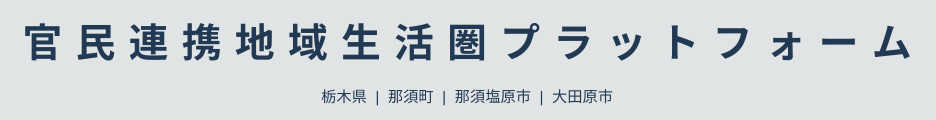 官民連携地域生活圏プラットフォーム